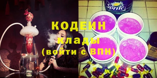 стаф Пересвет