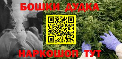 амф Камышлов