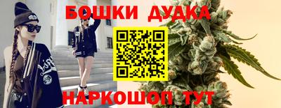 амф Камышлов