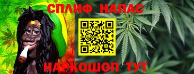 амф Камышлов