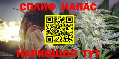 амф Камышлов
