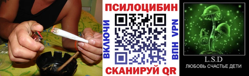 Галлюциногенные грибы прущие грибы Соль-Илецк