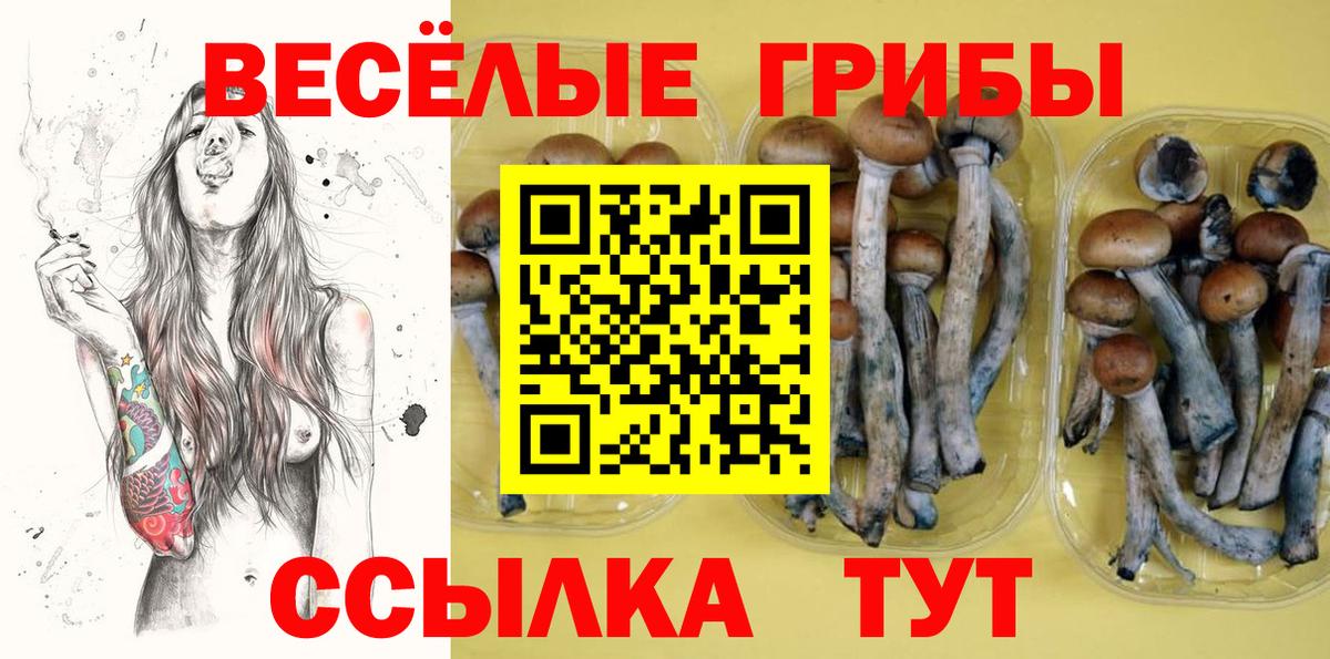 Псилоцибиновые грибы мицелий Соль-Илецк