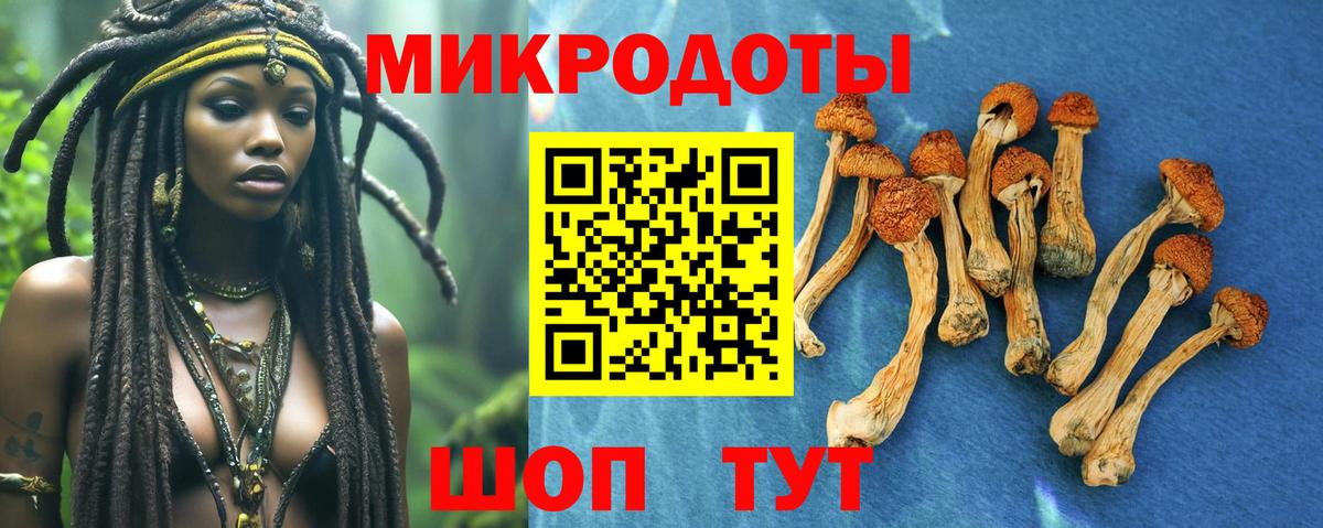 Псилоцибиновые грибы мицелий  Псилоцибиновые грибы мицелий  Вход с VPN  Соль-Илецк 